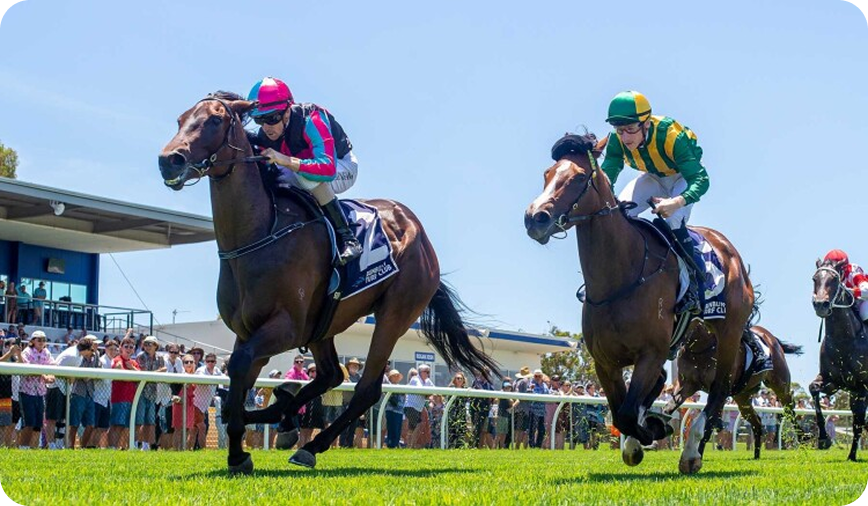Horse racing photo 28